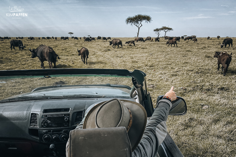 FGASA qualified Africa safari guide Kim Paffen