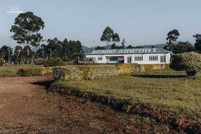 Fly to Kisoro Airstrip for Gorilla Trekking in Uganda