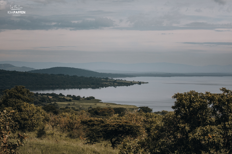 Lakes and swamp areas in Akagera National Park