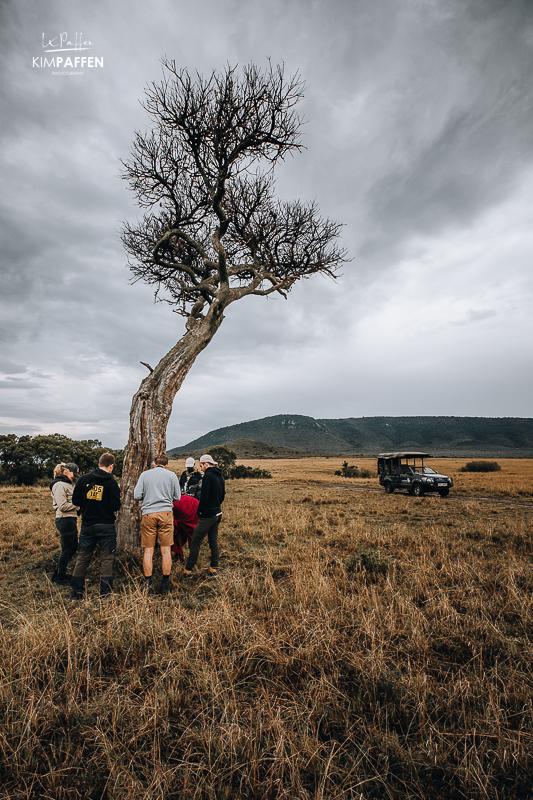 Learning about plants and trees on a safari guide course with EcoTraining