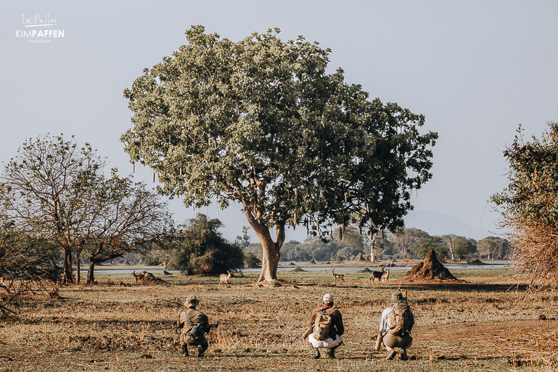 Liwonde National Park Mvuu Wilderness Lodge Malawi