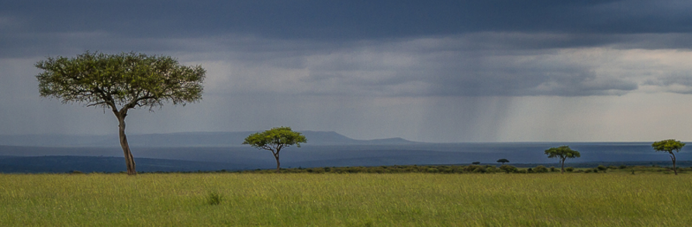 What is green season on safari?