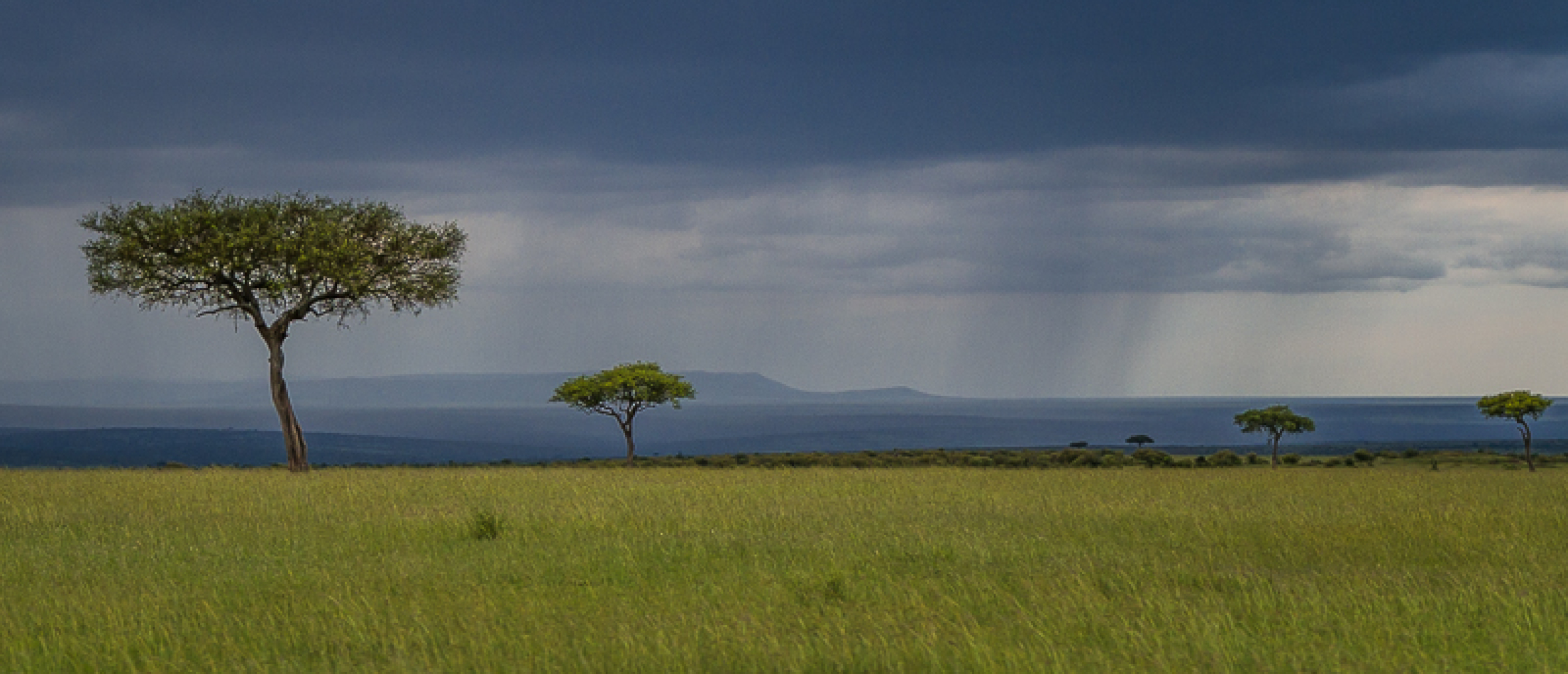 masai-mara-landscape