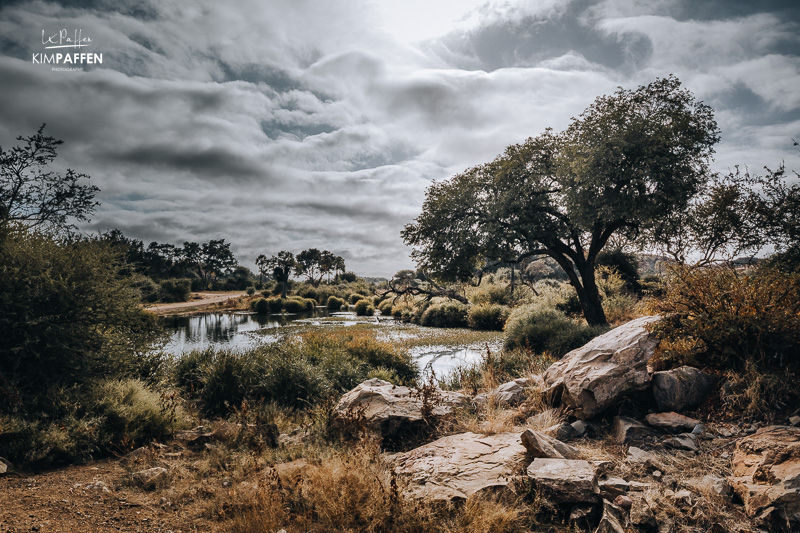 Scenery of Mapungubwe National Park South Africa