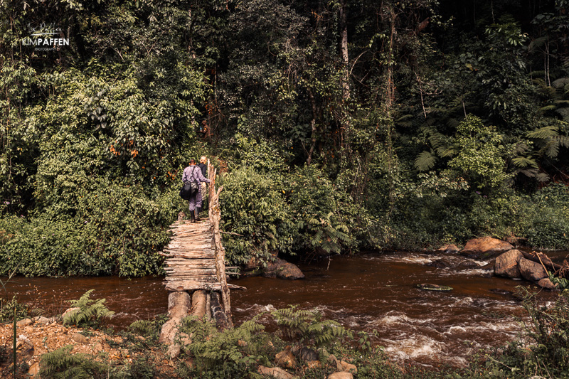 Tracking mountain gorillas in the Rushaga sector of Bwindi