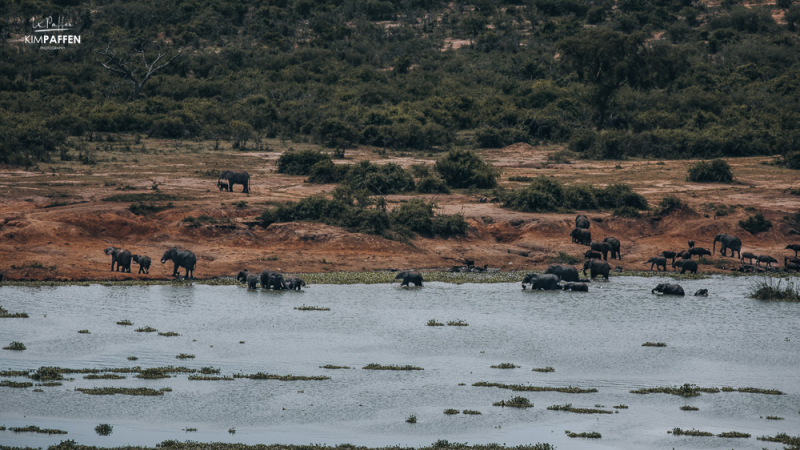 view from Mweya Peninsula at Mweya safari lodge