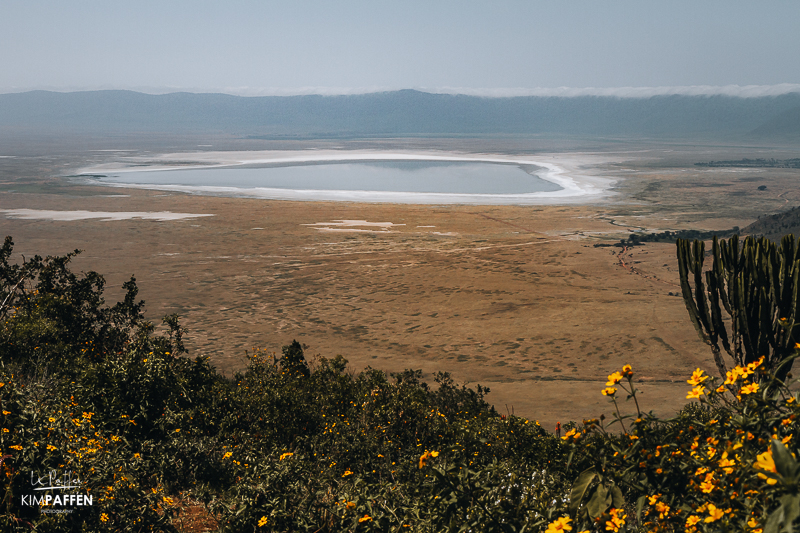 Ngorongoro Crater Lake Magadi in Tanzania