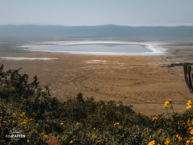 Ngorongoro Crater Lake Magadi in Tanzania