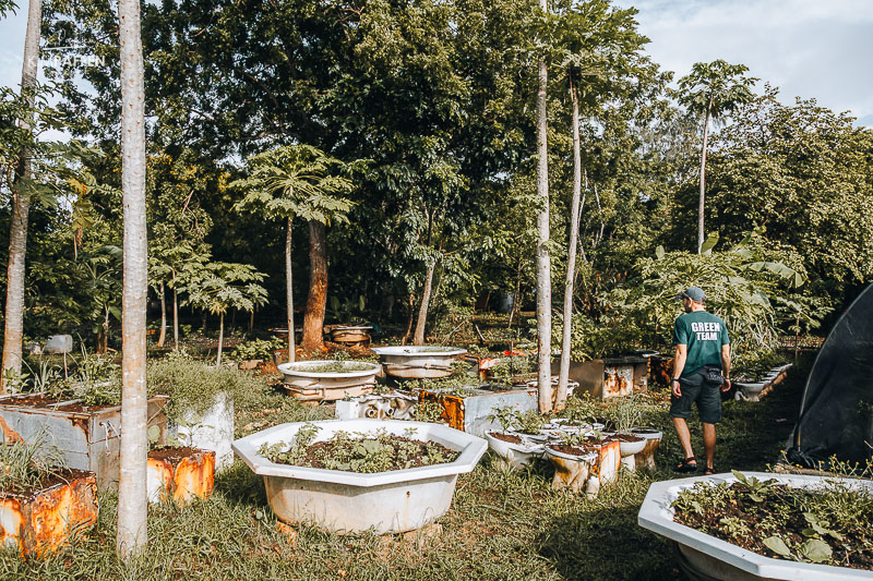 Overview of green initiatives at The Sands including solar panels and organic farming