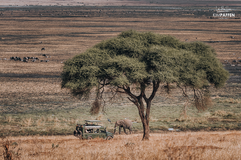 North Tanzania Tarangire National Park