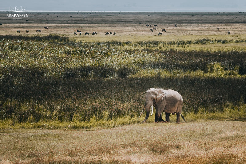Ngorongoro Northern Circuit Tanzania