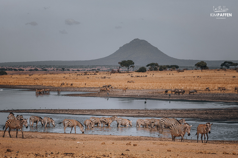 Northern Circuit Tarangire National Park Tanzania