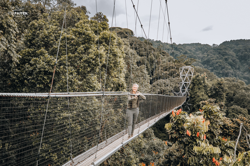 Nyungwe National Park is a top tourist attraction in Rwanda