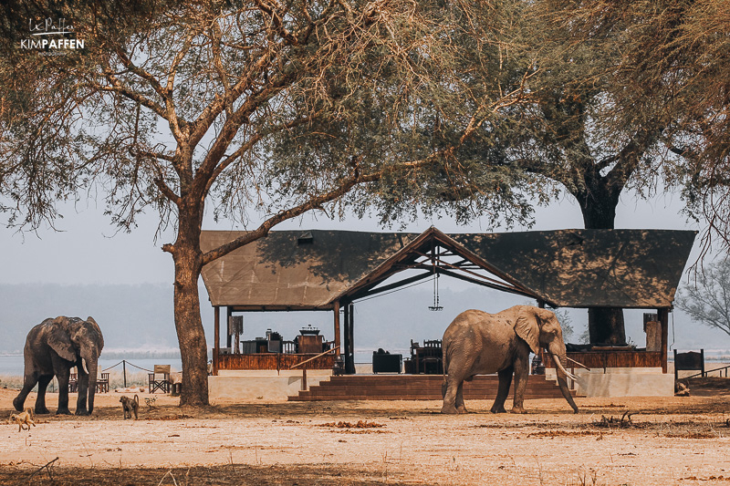 Old Mondoro Camp Lower Zambezi Zambia