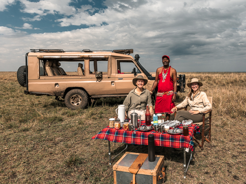 Game Drive in Africa with private guide and landcruser