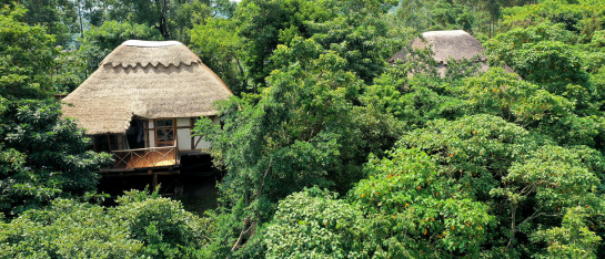 Best places to stay for Chimpanzee Trekking in Uganda