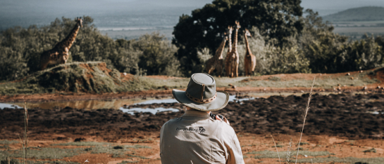 Photographing wildlife during EcoTraining Safari Guide Course Kenya