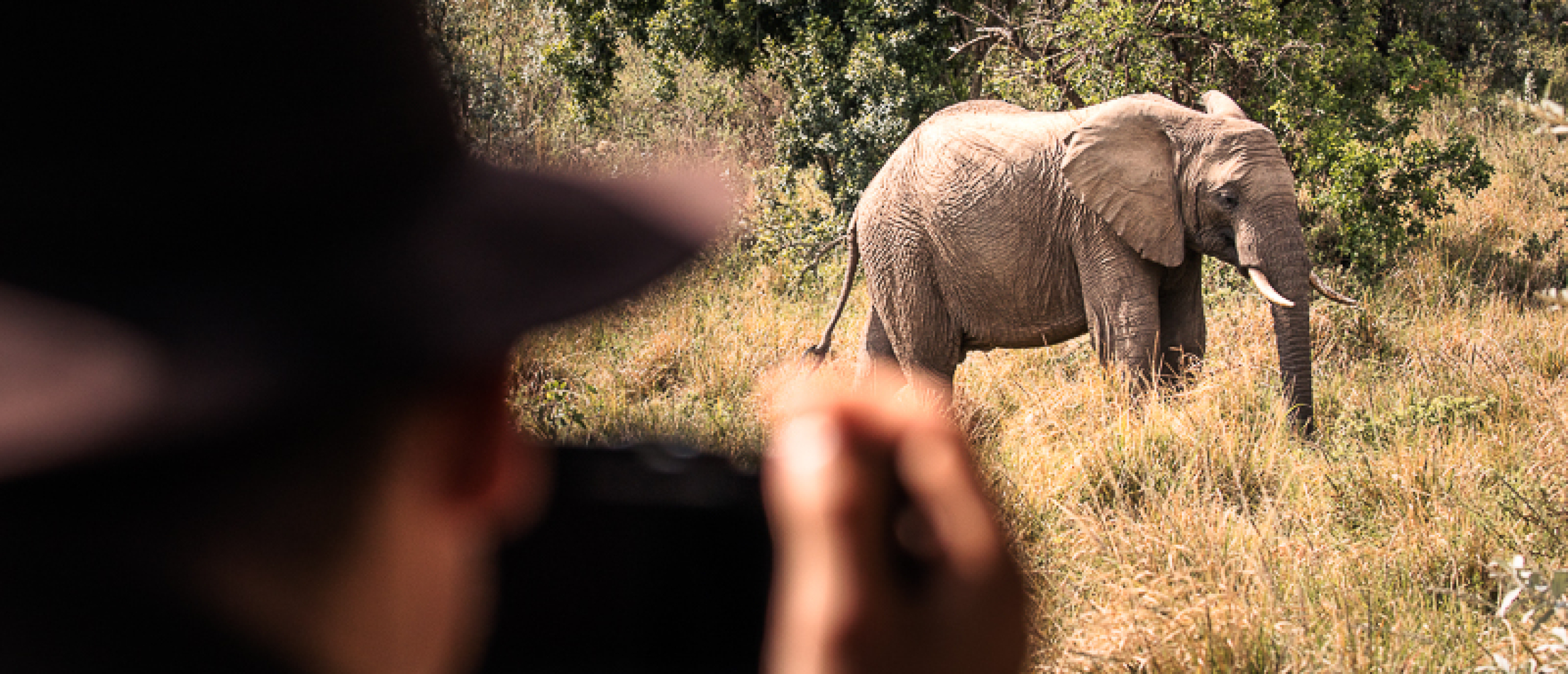 Photographing Wildlife in the Maasai Mara Kenya