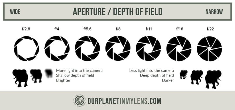 Master Aperture to take better photos
