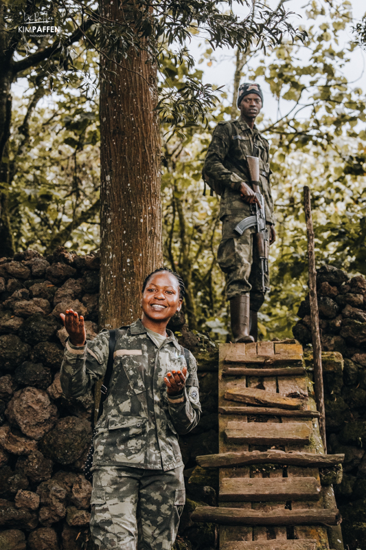 Gorilla Conservation by Rangers in Volcanoes National Park