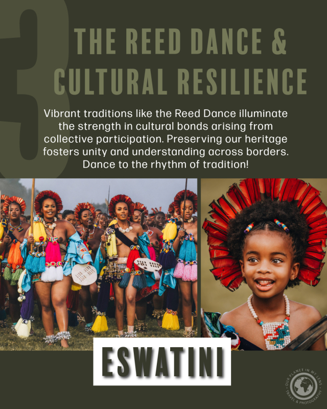The Reed Dance in Eswatini is about Cultural Resilience
