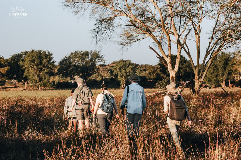 Return Africa Walking Safaris in Kruger National Park