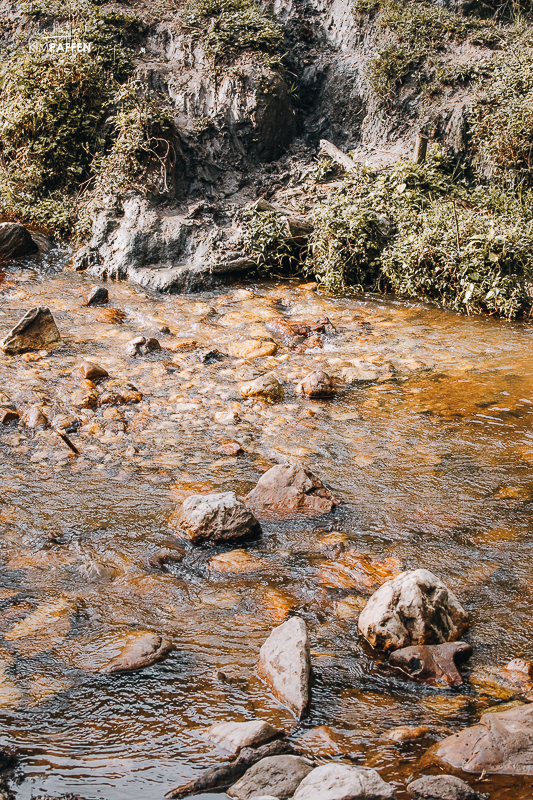 River Trail Nkuringo Sector Bwindi