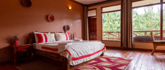 Place to stay in Bwindi for Gorilla Trekking