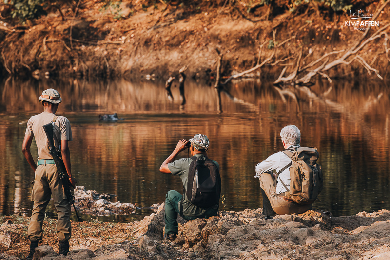 Safari Activities Tongole Lodge and Nkhotahota Reserve