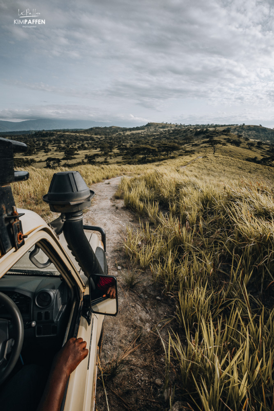 On safari in Queen Elizabeth NP Uganda