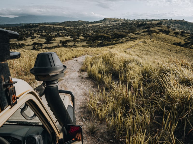 On safari in Queen Elizabeth NP Uganda