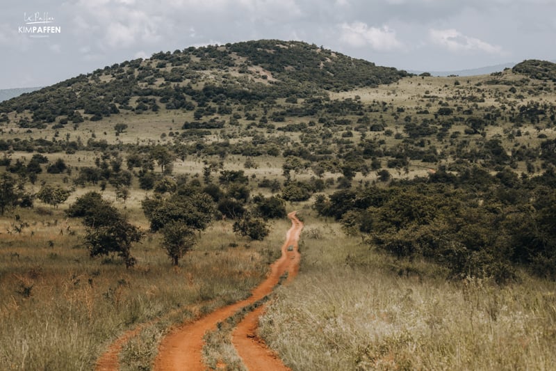 Safari in Rwanda