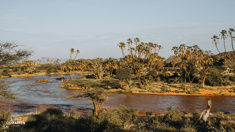 samburu national reserve in kenya