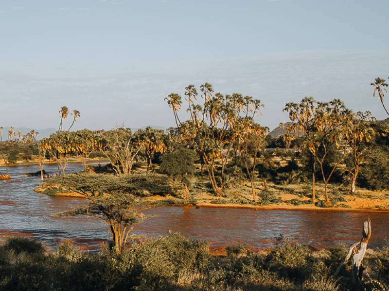 samburu national reserve in kenya