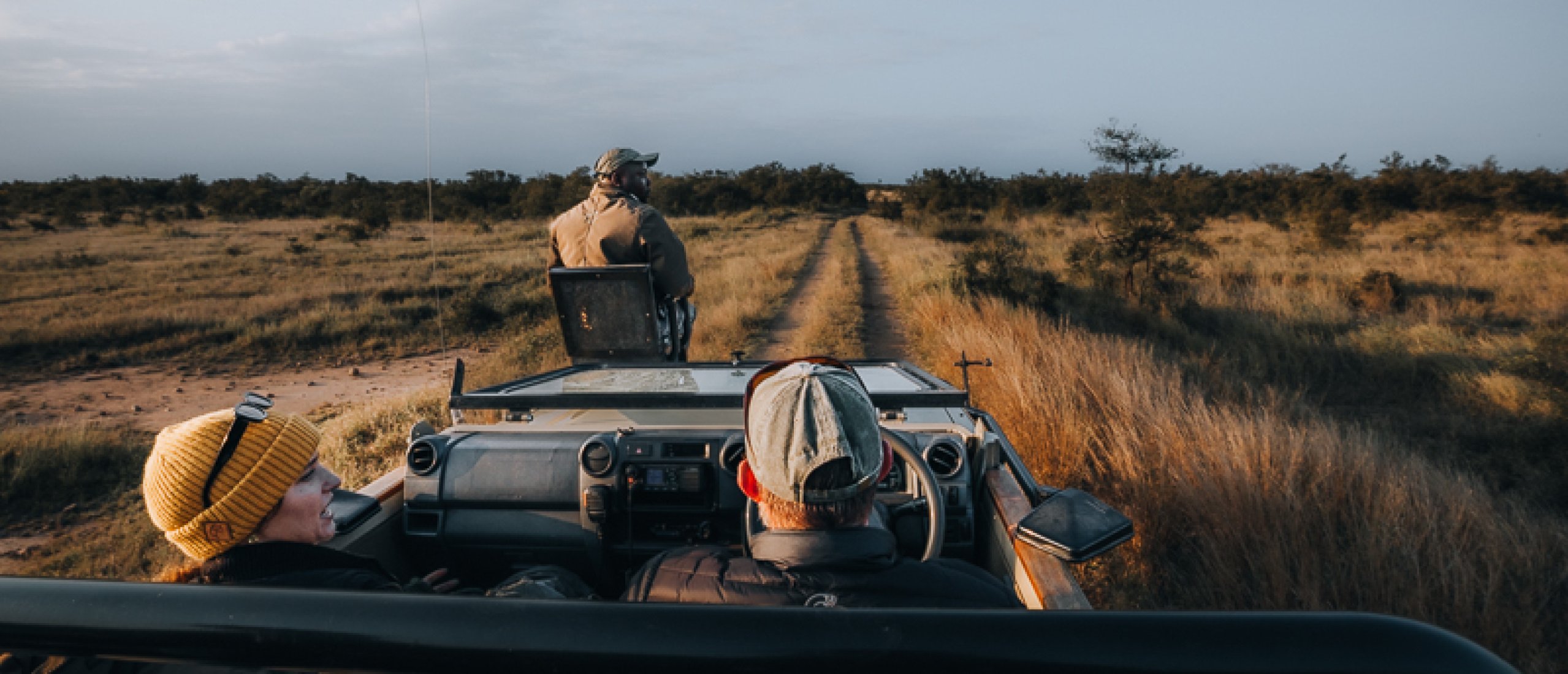 Savannah Landscape of Kruger National Park