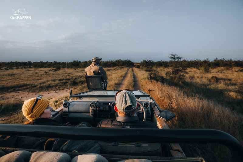 Savannah Landscape of Kruger National Park