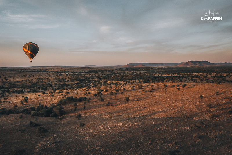 Serengeti Balloon Safari at sunrise