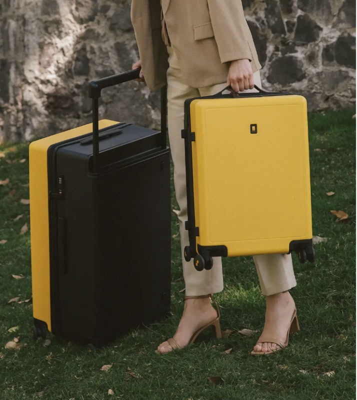 stylish travel luggage