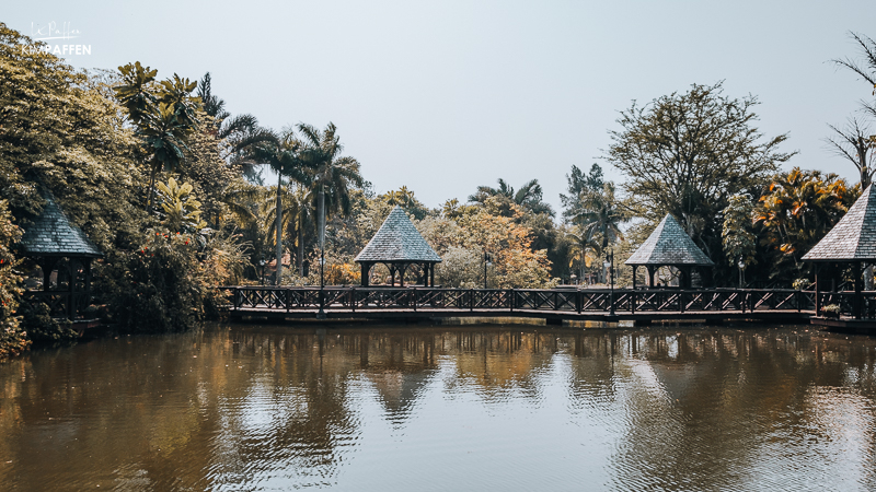 Summerfield Botanical Gardens Eswatini