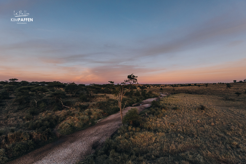Sunrise over the Serengeti plains