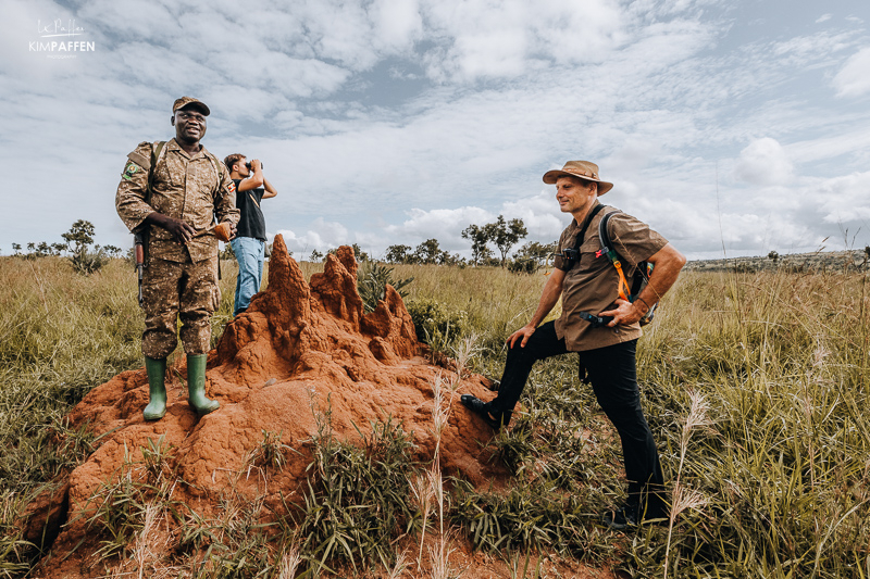 termite hill on walking safari in Murchison Falls