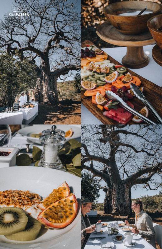 Breakfast with Baobabs in North Limpopo's Makuleke Contractual Park