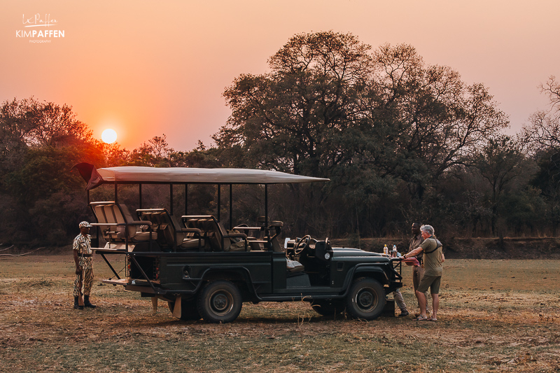 Game drive in South Luangwa Zambia