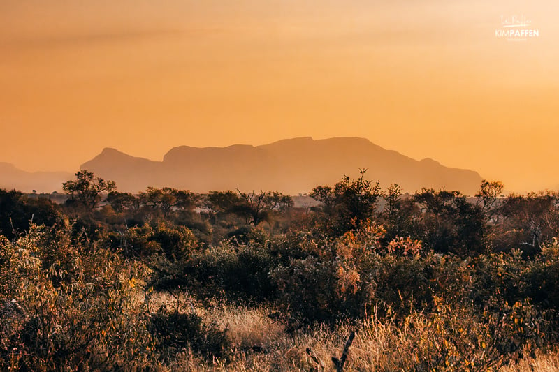 Thornybush Nature Reserve