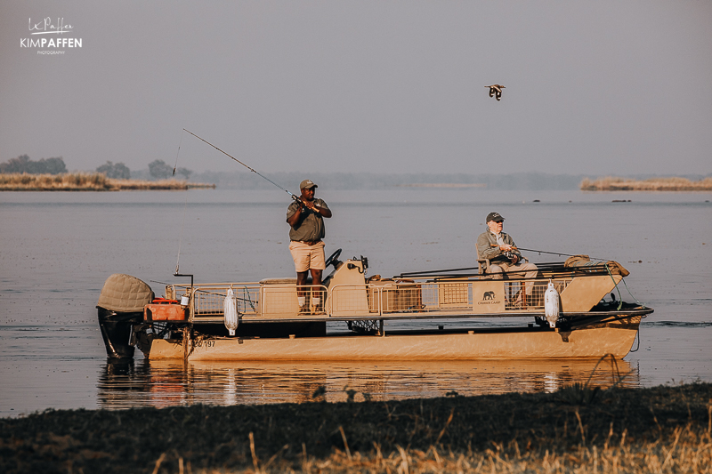 Tiger Fishing Chiawa Camp Lower Zambezi