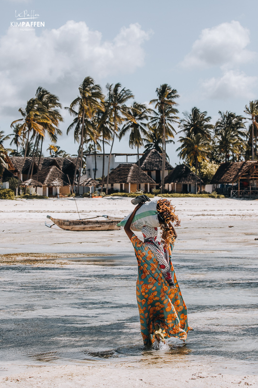 Vacation Zanzibar Island