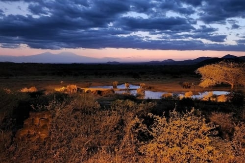 waterhole from Kilugini Serena Safari Lodge in Tsavo West