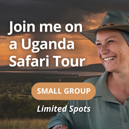 Join wildlife photographer and safari guide Kim Paffen on Safari in Uganda and improve your photography skills