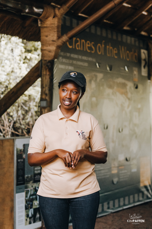 Umusambi Village Grey Crowned Crane Conservation