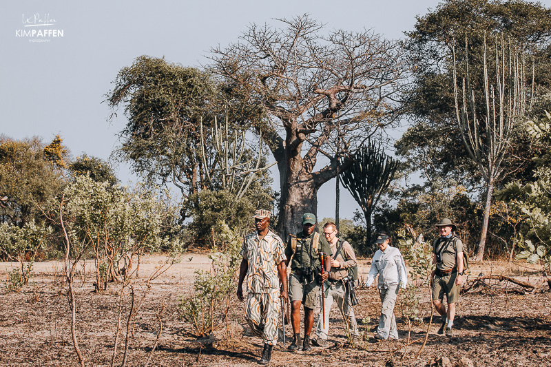 Walking Safari Kafue NP Zambia